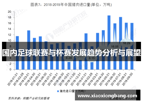 国内足球联赛与杯赛发展趋势分析与展望 国内足球联赛与杯赛发展趋势分析与展望